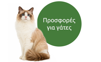 Δείτε εδώ όλες τις προσφορές μας!